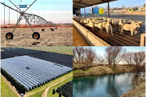 Commercial Property for Sale in Kestell Rural Free State